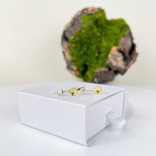 Golden Light – Baltic Amber Stud Earrings | 925 Silver or 18K Gold Finish