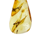 Amber pendant with inclusion "Mosquito"