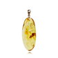 Amber pendant with inclusions "Friendship of spider and fly"