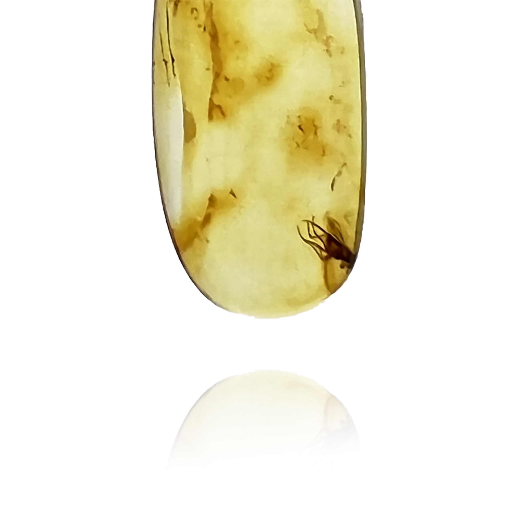 Amber pendant with inclusion "Descent"
