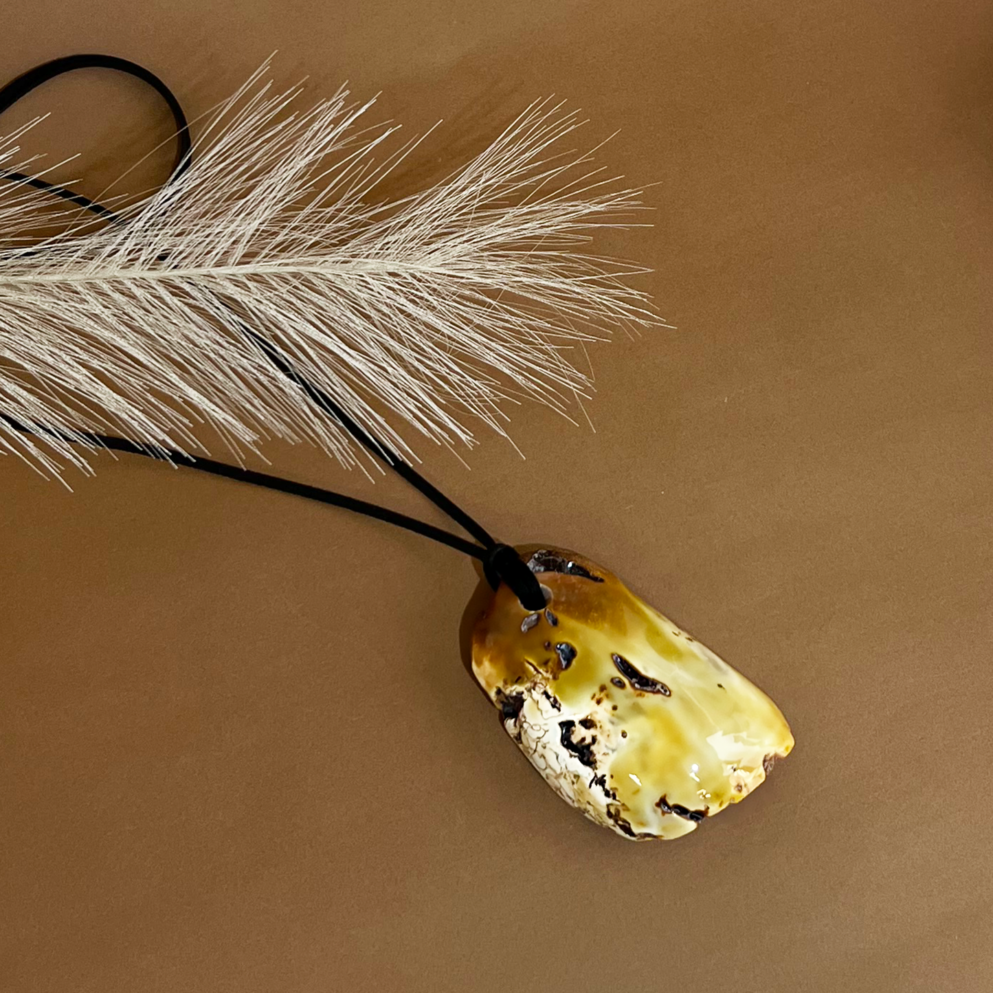 Amber pendant "Continent"